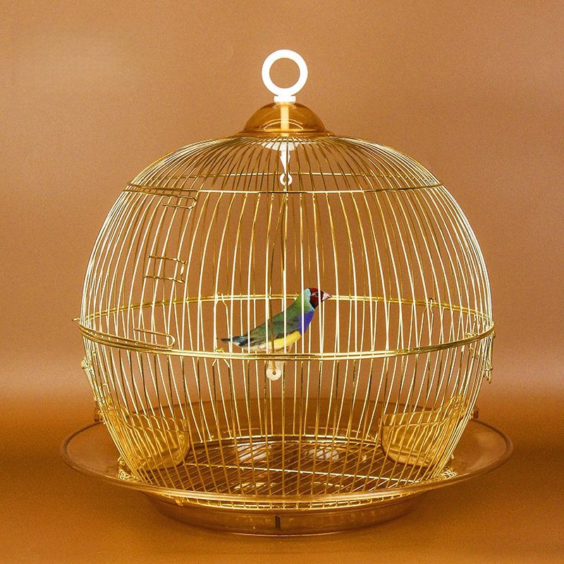 Small Metal Bird Cage – Gold - Image 2
