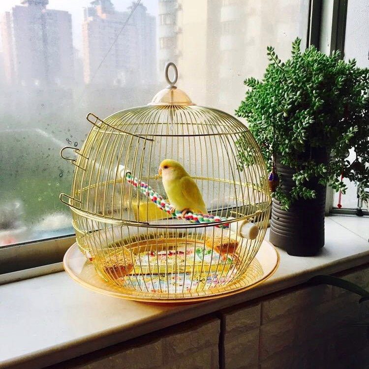 Small Metal Bird Cage – Gold - Image 3